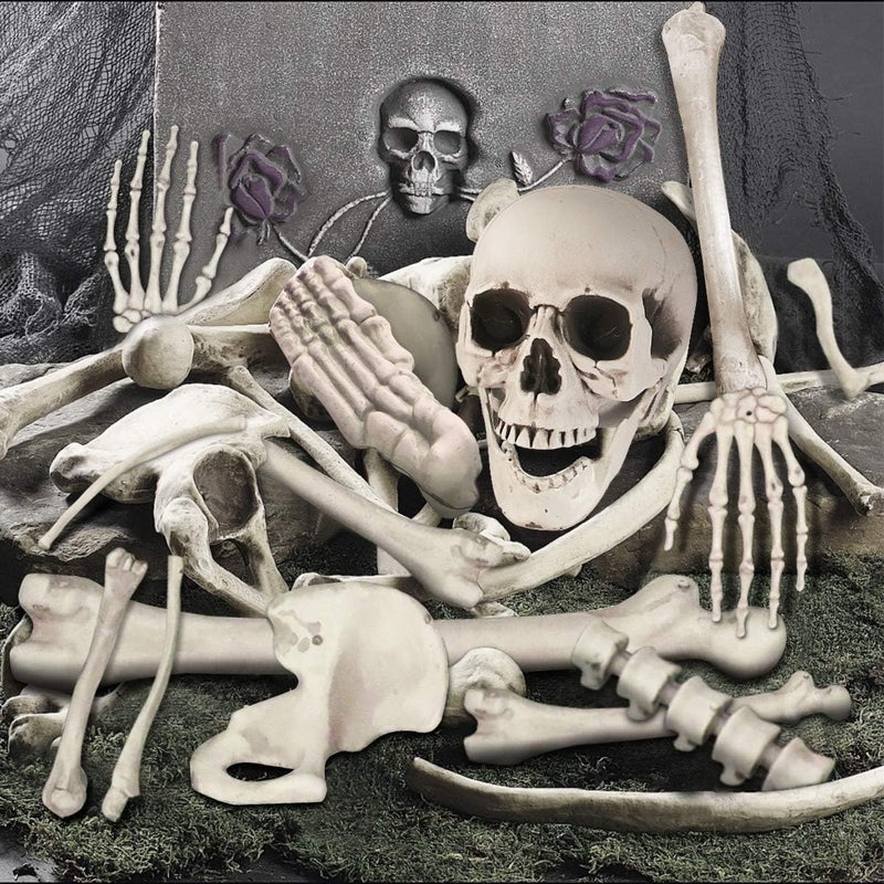 GameXcel Halloween Skeleton Bones and a Skull - Plastic Life-Size Bones Set Yard Decoration - Props for Graveyard Haunted House Indoor & Outdoor Deco (35PCS) - Image 1